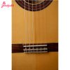 گیتار فلامنکو آلمانزا مدل 413 - Image 4