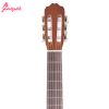 گیتار کلاسیک کوردوبا مدل Rodriguez C3A - Image 4