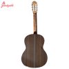 گیتار کلاسیک بست فان مدل C160 - Image 2