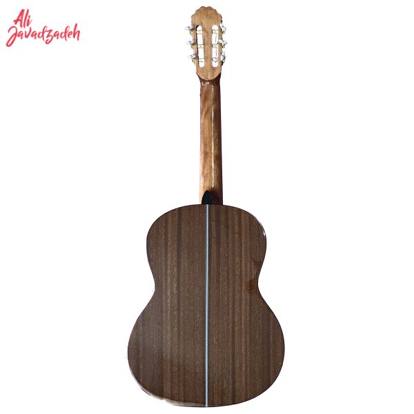 گیتار کلاسیک بست فان مدل C160 - Image 2