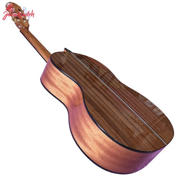 گیتار کلاسیک بست فان مدل C160 - Image 6