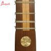 سه تار نوروزی صبا مدل توت و گردو - Image 5