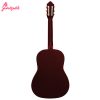 گیتار کلاسیک آلکالین مدل M1-1 - Image 2