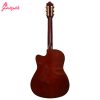 گیتار کلاسیک آلکالین مدل M1-2 - Image 2