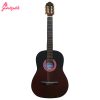 گیتار کلاسیک آلکالین مدل M1-3