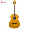 گیتار کلاسیک آلکالین مدل M1-5