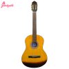 گیتار کلاسیک آلکالین مدل M1-6