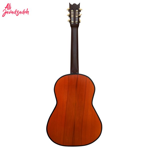 گیتار کلاسیک آلکالین مدل N1-1 تین بادی - Image 3