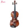 Christina's violin