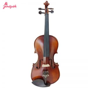 Christina's violin