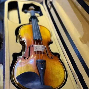 ویولون کارل هافنر